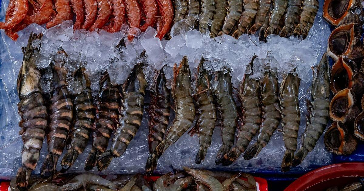 New Orleans shrimp festival passes test for local Gulf shrimp