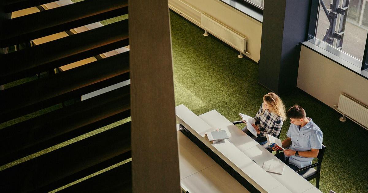 Professor blocked by University of Arizona over DEI