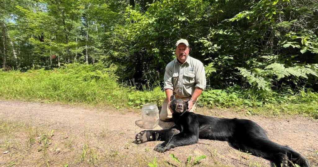Wisconsin DNR removes jar from bear's head