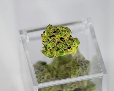 TCS - cannabis