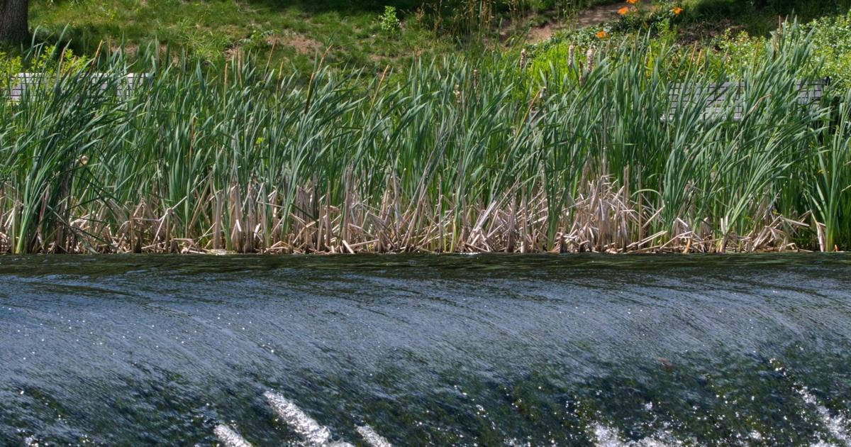 Blue Ridge Shores rebuilding Lake Louisa dam | News ...