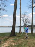 New business at Lake Anna specializes in pruning and plant health care