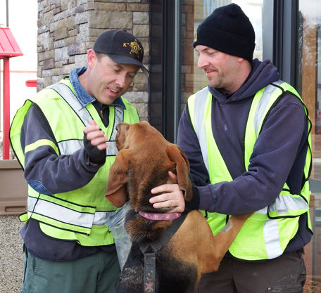 k9 search and rescue seminars