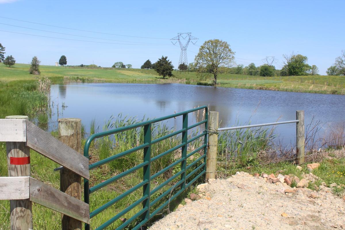 Lure Of Lake Anna Farmer Seeks A Clean Lake Lure Of Lake Anna Thecentralvirginian Com