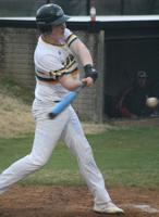 Sluggers sting Hornets in home contest
