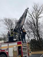 Fire and EMS: A tree-mendous response
