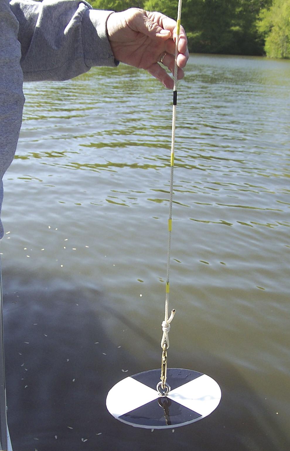 High E. coli levels found in recent Lake Anna water tests