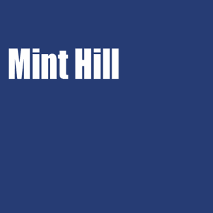 Mint Hill approves family care homes for foster children