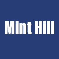 Mint Hill approves family care homes for foster children