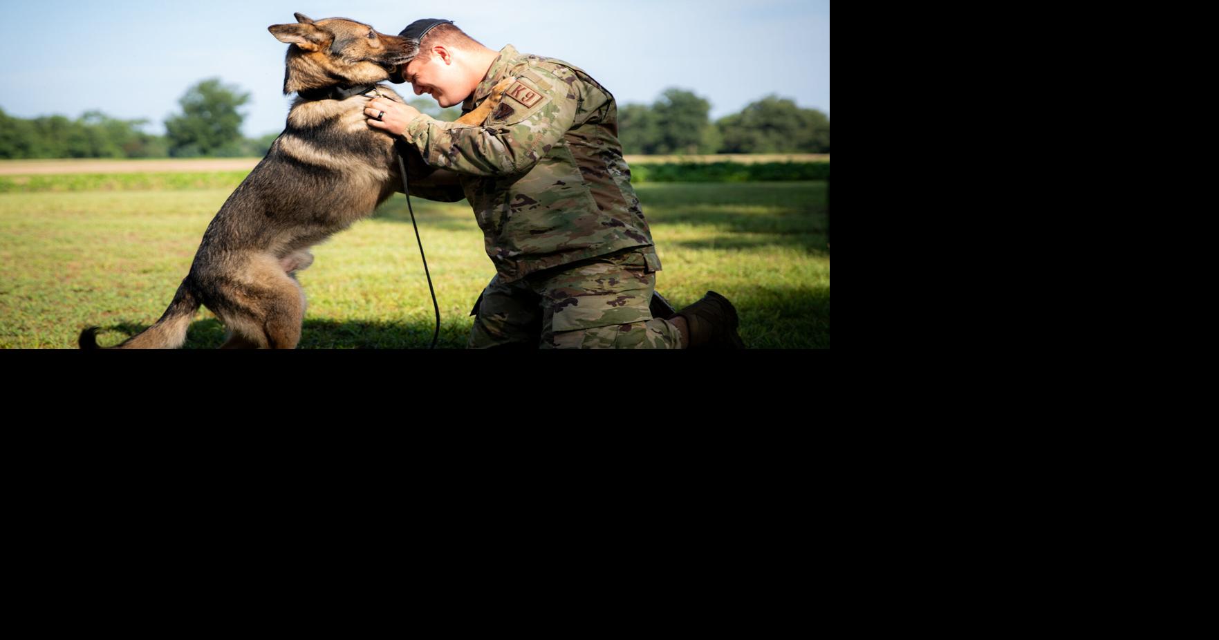 American Humane reunites retired Military Working Dog with handler ...