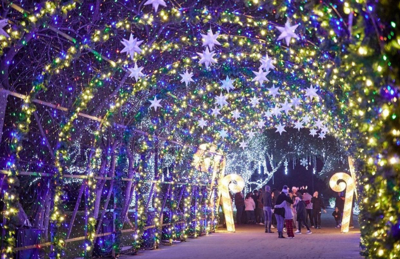 The Carolina Holiday Light Spectacular