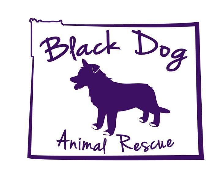 Black sales dog rescue