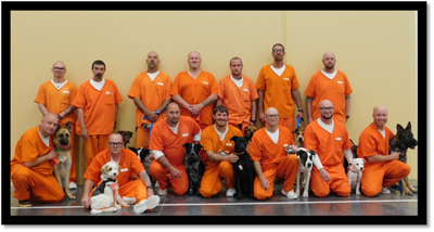 Inmates and Dogs photo