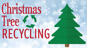 Casper Wy 2022 Christmas Tree Disposal Christmas Tree Recycling | News | Thecheyennepost.com