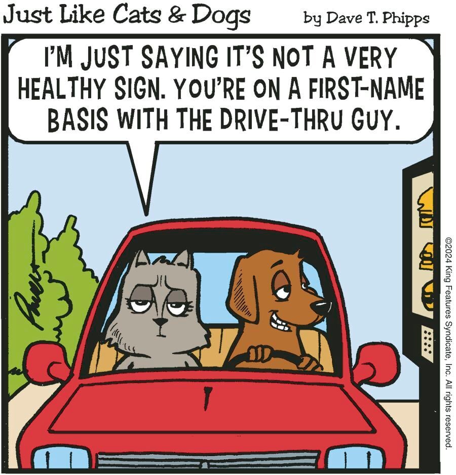 Just Like Cats And Dogs March 7 2024 Comics Thecheyennepost Com   65e886060e659.image 