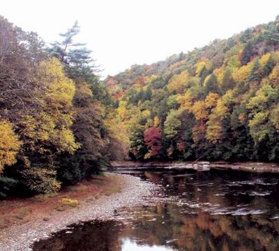 Color at Gravel Lick