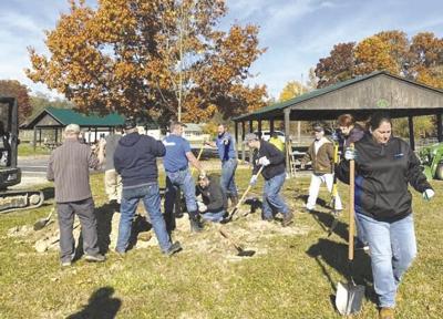 Kronospan donates mature trees to county park