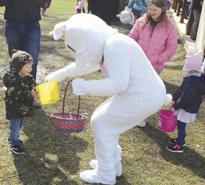 The bunny is back