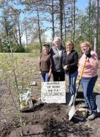 Garden club plants a tree for Arbor Day