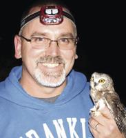 Audubon program features Saw-whet owls