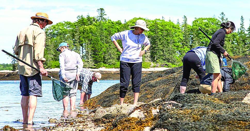 Seneca Rocks offering Hog Island scholarship for educators