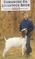 2023 Comanche County Livestock Show Grand Champions