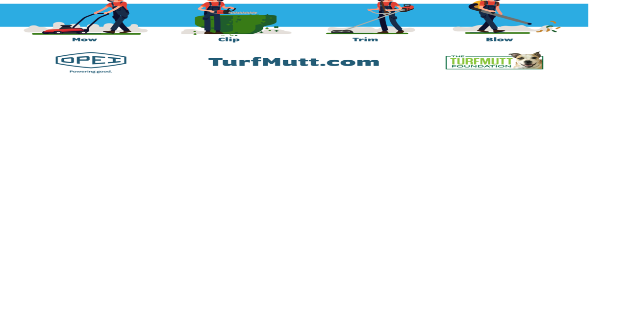 6 Backyarding Renovation Mistakes to Avoid, According to the TurfMutt ...