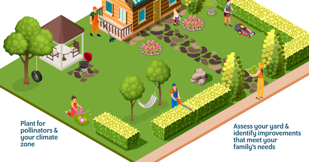 6 Backyarding Renovation Mistakes to Avoid, According to the TurfMutt ...