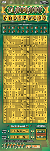 DALLAS RESIDENT CLAIMS $1 MILLION SCRATCH TICKET PRIZE A E