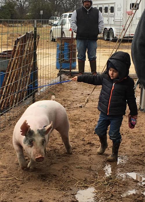 84th Annual Comanche County Junior Livestock Show This Weekend