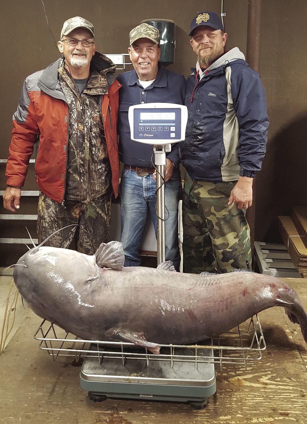 Record catfish caught News