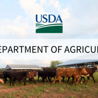 Collette Rulison Usda Secretary Rollins Announces USDA Presidential Appointments, Naming Full ...