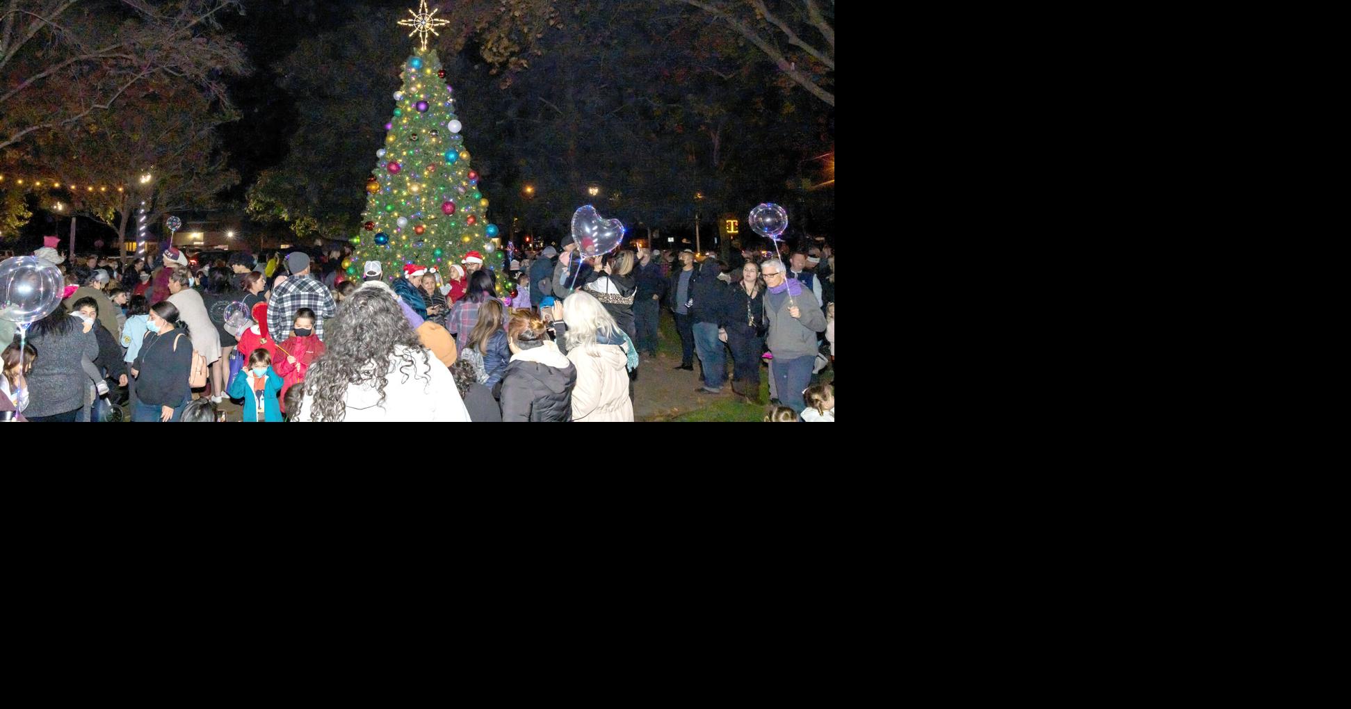 Cotati tree lighting draws a big crowd Community