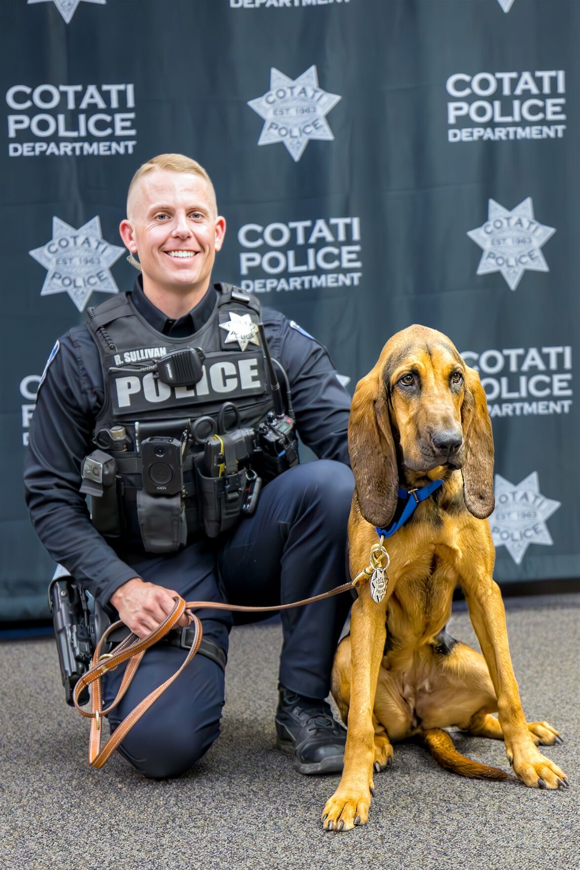 Bloodhound 2024 police dog