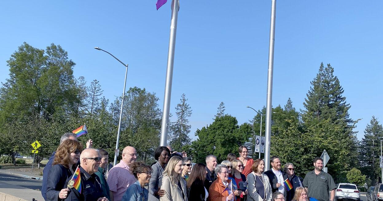 Rohnert Park-Cotati Regional Library raises Flag for Pride month - Vimarsana News