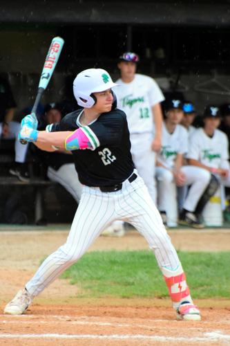 Trojans baseball drops two straight games to Tigers | Sports ...
