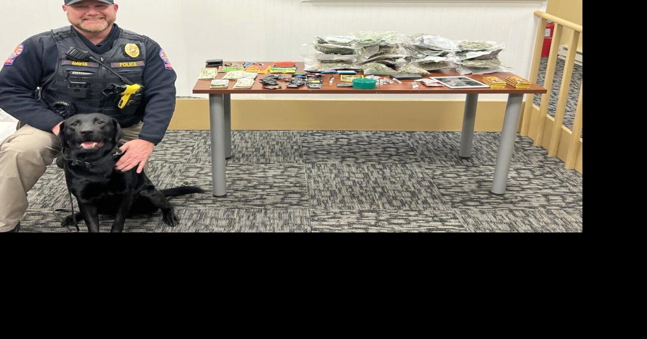 Knightstown police seize nearly 15 pounds of marijuana | News ...
