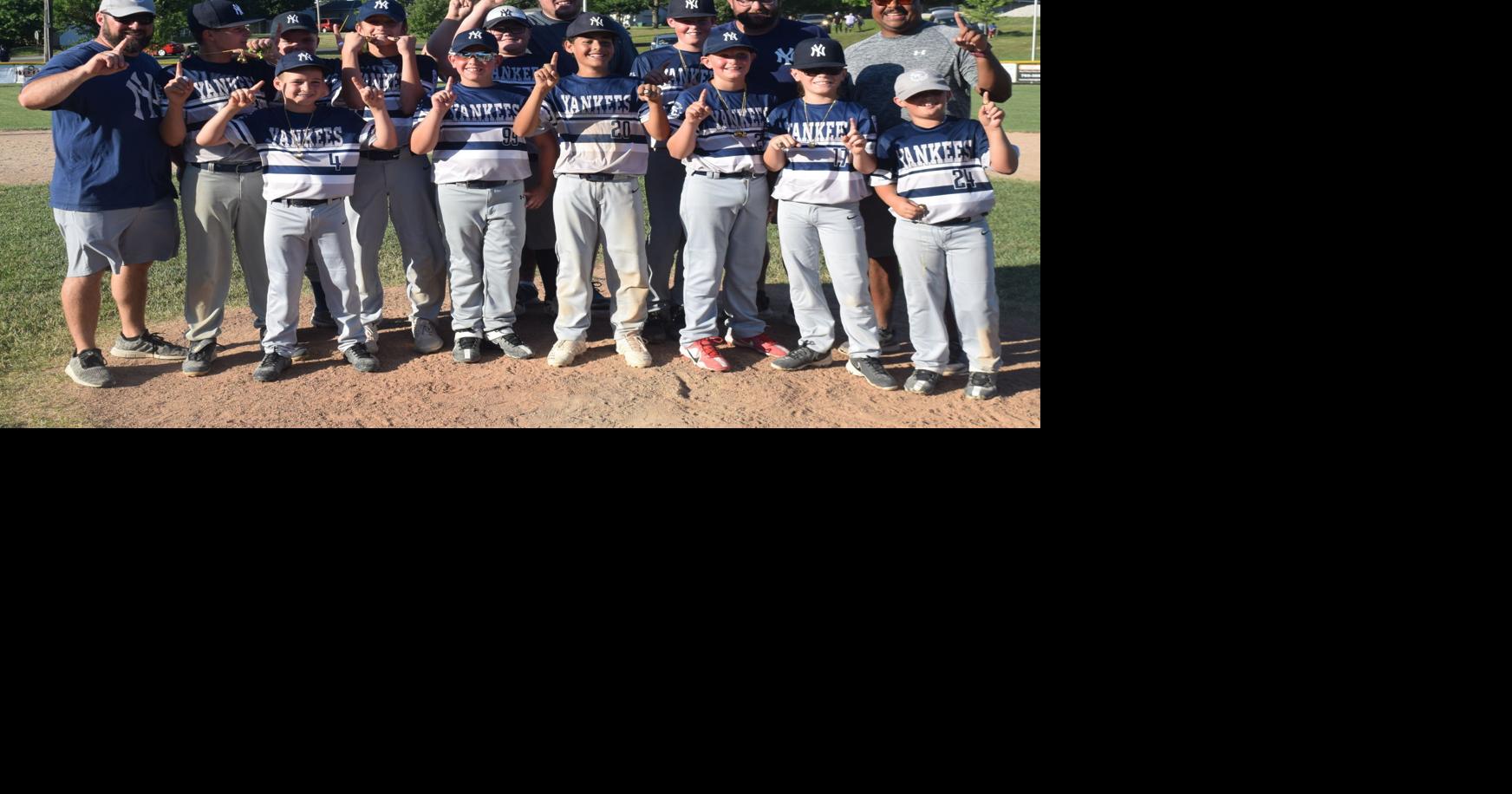 Little League baseball: Cubs win city title