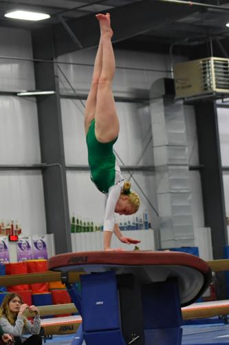 Trojan gymnasts finish fifth in Franklin Central regional | Sports ...