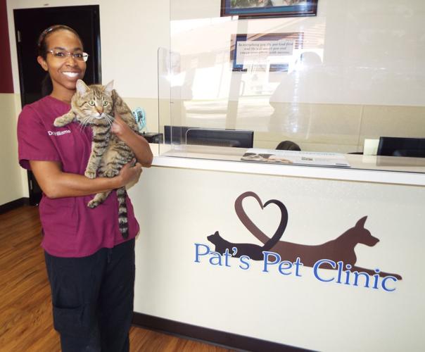 Veterinarian Rachel Williams cares for shelter animals, public pets | |  