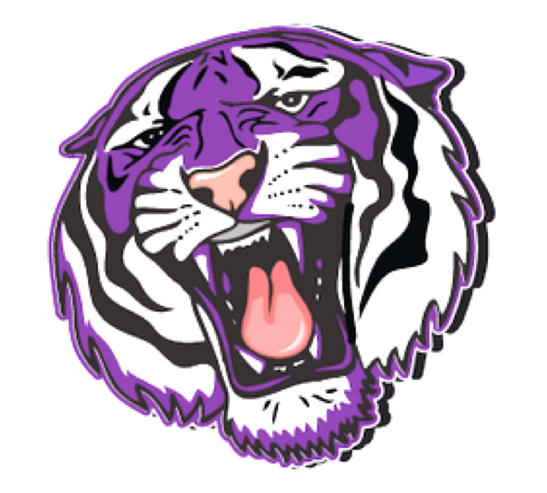 Jess Lanier / Bessemer City High School Alumni Picnic Carver Park