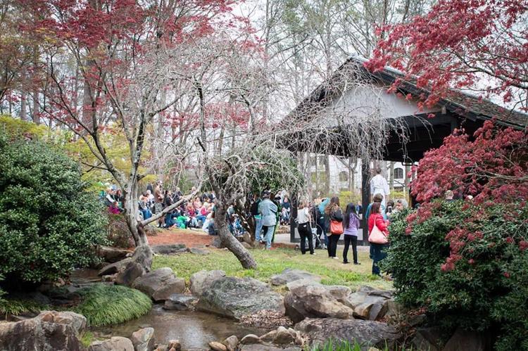 2019 Cherry Blossom Festival Birmingham Botanical Gardens