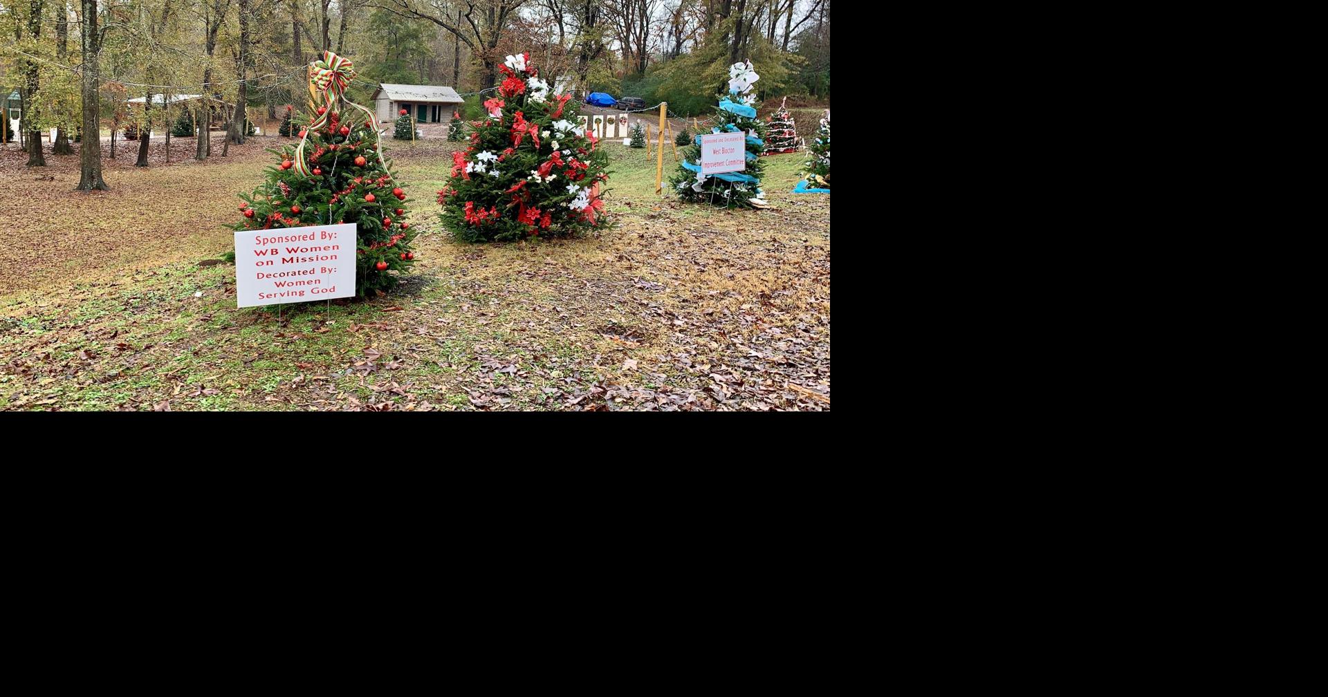 Tinsel Trail At West Blocton Coke Ovens Park Next Event Tails On The Trail On December 15, 2018