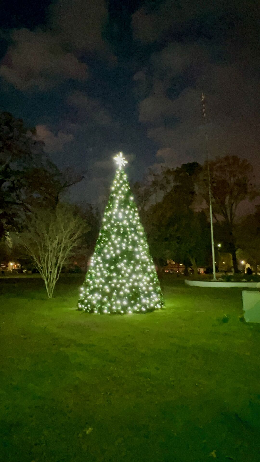 Bessemer Christmas Tree Lighting 2022 City Of Bessemer's 2021 Christmas Tree Lighting | Bessemer |  Thecutoffnews.com