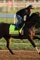 John Clay: Here are long shots who could beat favorites in Kentucky Derby 2024