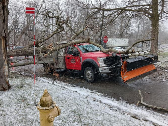 Town of Batavia employee uninjured after tree falls on truck | News ...