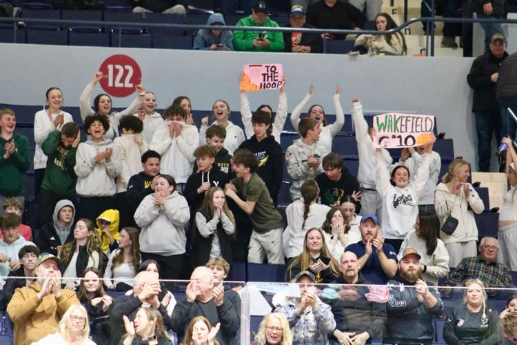 SEC. V BOYS BASKETBALL: Alexander beats Geneseo in 'C1' title game ...