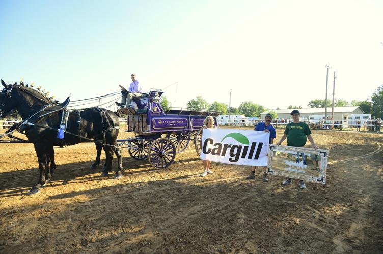 PHOTO GALLERY: Six-Horse Hitch Friday at the Genesee County Fair ...