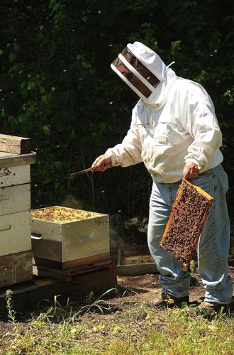 Ive been working on the beekeeper and the industrialist. Soon to