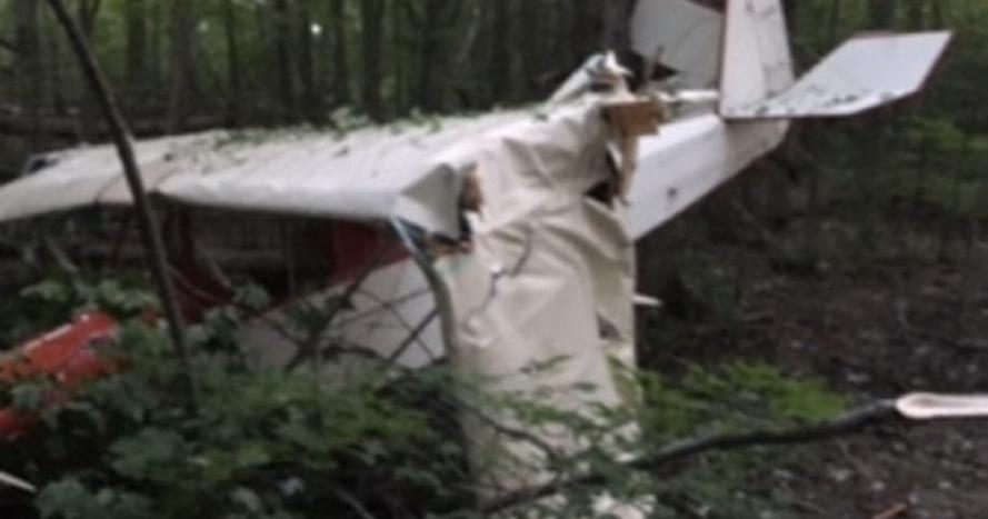Pilot escapes injury in plane crash | News | thedailynewsonline.com